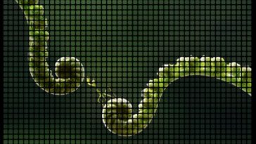 Digital Research SDG Report