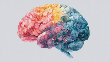 Human Brain Watercolor