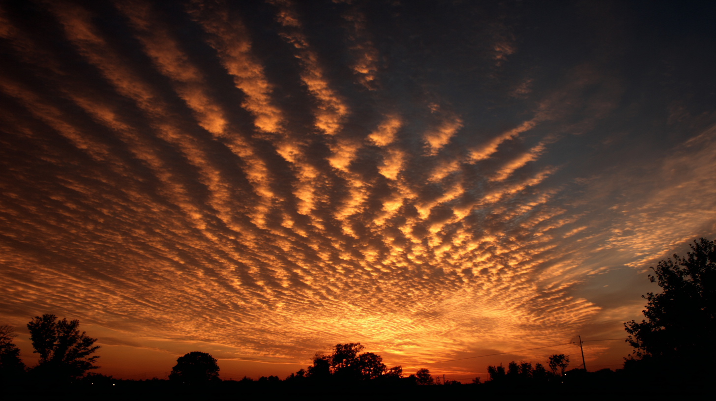 Mackerel Sky at Sunset