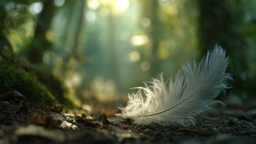 Fluffy Feather in a Forest