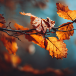 Close-Up of Autumn Leaves