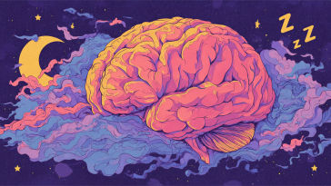 Illustration of Sleeping Brain