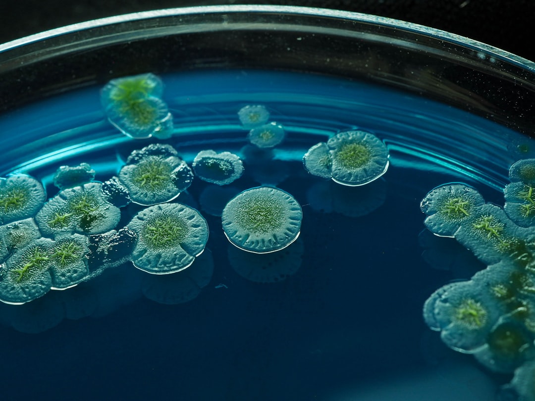 Header image for: Unveiling the Role of Microbes in Ecosystems